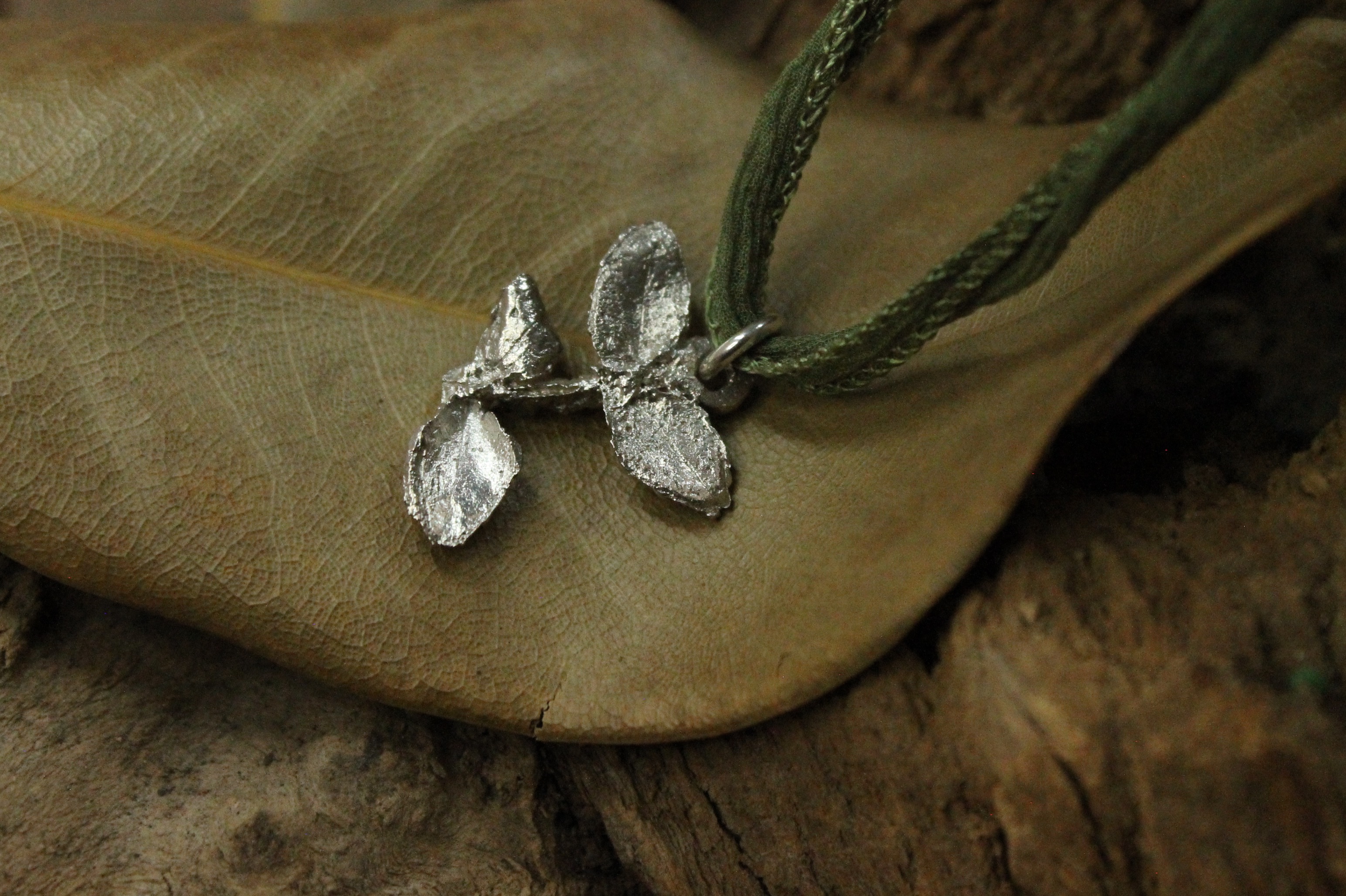 alimento-de-cuerpo-y-alma